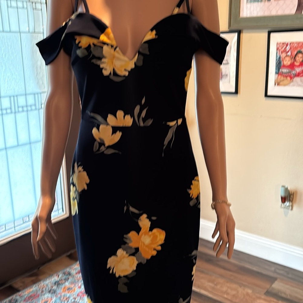 Ladies dress